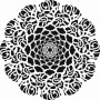 Belly Lace Model DS36 Lace Series 25x35 Stencil