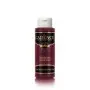 2000 Bordeaux Premium Acrylic Paint 70ML