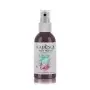 1117 Eggplant Cadence Your Fashion Spray Fabric Paint 100ML