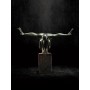 231 Baroque Metallic Paint 70ML