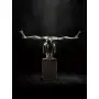 226 Sky Grey Metallic Paint 70ML