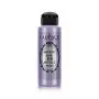 209 Purple Metallic Paint 120ML