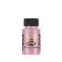 178 İlkbahar Fundası  Dora Metalik Boya 50ML