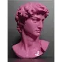 L14 Fuchsia Handy Lacquered Paint 450ML