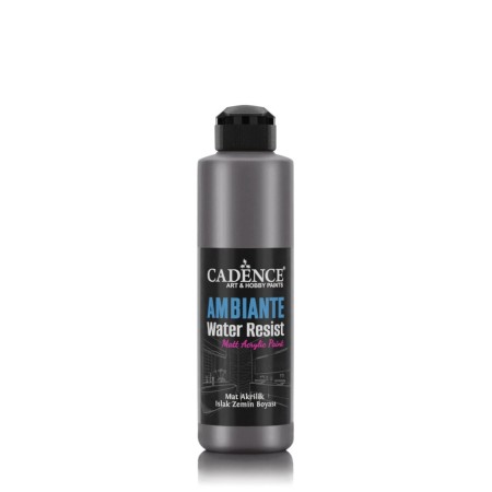 AWM07 Anthracite Ambiante Water Resist Metallic Paint 250ML + Varnish Catalyst 10GR