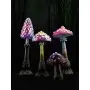 579 Cadence Leuchtende Farbe Rosa