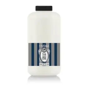 Aqua Stone Varnish - Gloss 2LT