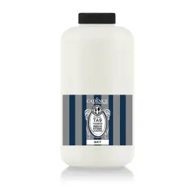 Aqua Stone Varnish - Matt 2LT