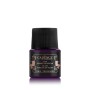 Cadence Vitray Cam Boyası 17 Mor 45ML
