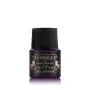Cadence Vitray Cam Boyası 17 Mor 45ML