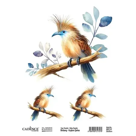 Model BRET07 Song of Birds Easy Transfer 25x35cm