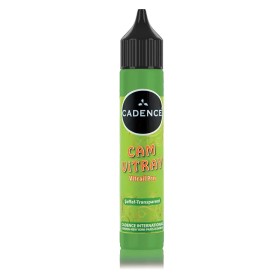 Cadence 13 Grass Green Vitrail Outliner 25ML