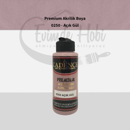 Premium Akrilik Boya 0250 Açık Gül 120ML