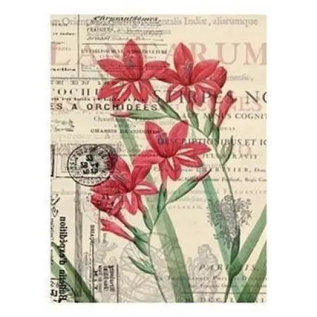 Model 056 Cadence Rice Decoupage Paper 30x42cm.