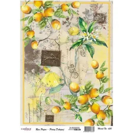Model 650 Cadence Brass Decoupage Paper 30x42cm.