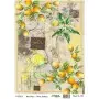 Model 650 Cadence Brass Decoupage Paper 30x42cm.