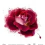 Model WFC026 Watercolor Flower Rice Paper Collection 30x32