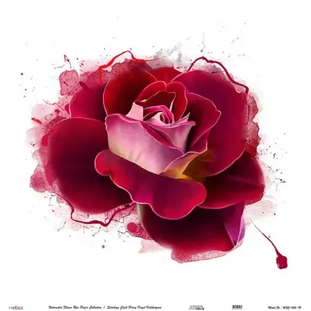 Model WFC026 Watercolor Flower Rice Paper Collection 60x62