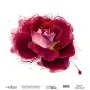 Model WFC026 Watercolor Flower Rice Paper Collection 90x92