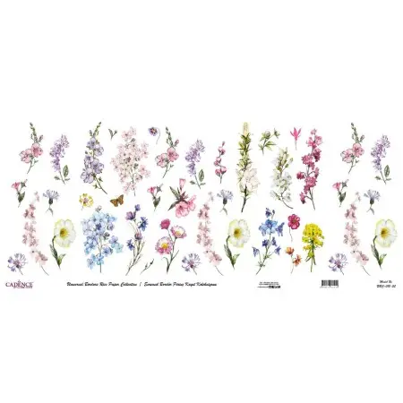 Model UBC013 Universal Border Rice Paper Collection 30x68