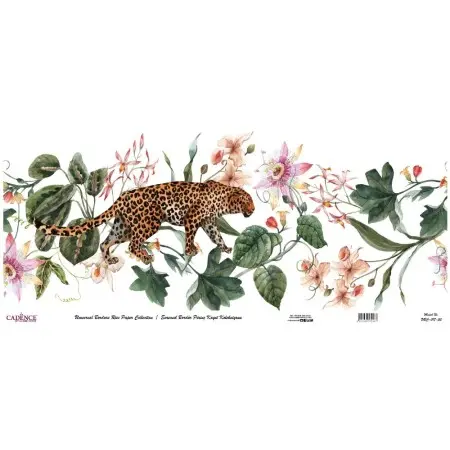 Model UBC017 Universal Border Rice Paper Collection 30x68