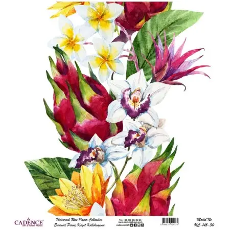 Model UC145 Universal Rice Paper Collection 60x62