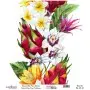 Model UC145 Universal Rice Paper Collection 60x62