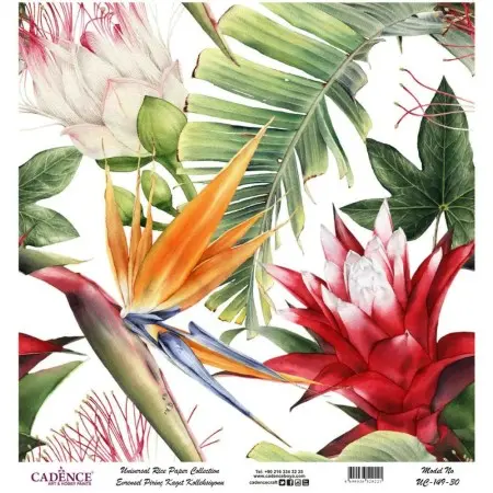 Model UC149 Universal Rice Paper Collection 90x92