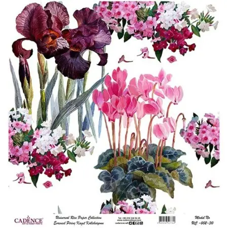 Model UC002 Universal Rice Paper Collection 30x32
