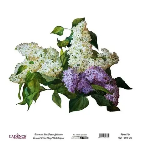 Model UC004 Universal Rice Paper Collection 30x32