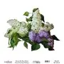 Model UC004 Universal Rice Paper Collection 30x32