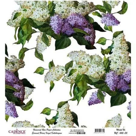 Model UC005 Universal Rice Paper Collection 30x32