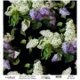 Model UC006 Universal Rice Paper Collection 90x92