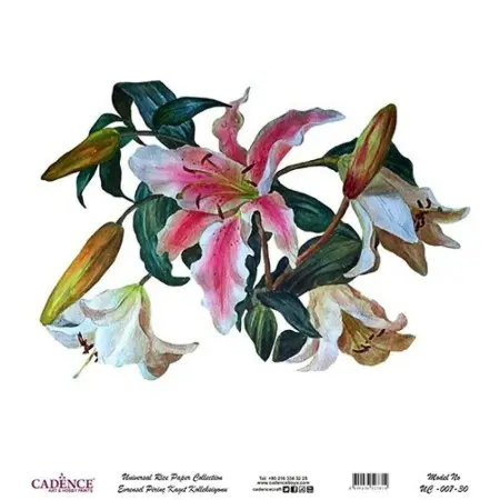 Model UC007 Universal Rice Paper Collection 60x62