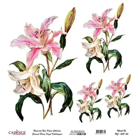 Model UC008 Universal Rice Paper Collection 30x32