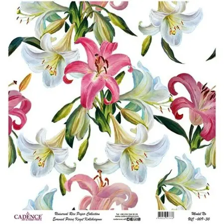Model UC009 Universal Rice Paper Collection 30x32