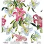 Model UC009 Universal Rice Paper Collection 30x32