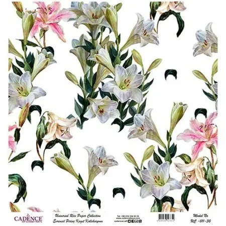Model UC011 Universal Rice Paper Collection 30x32