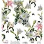 Model UC011 Universal Rice Paper Collection 30x32