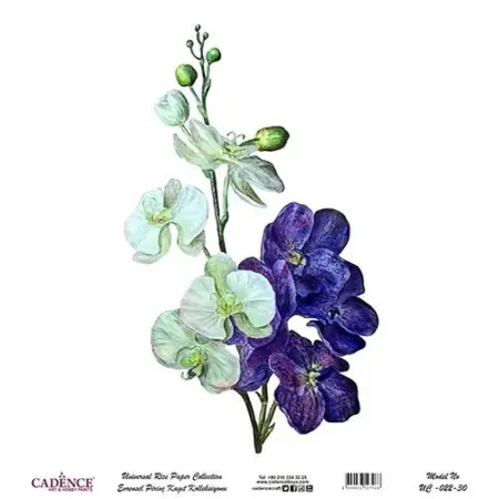Model UC022 Universal Rice Paper Collection 60x62