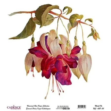 Model UC028 Universal Rice Paper Collection 30x32