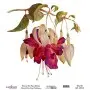 Model UC028 Universal Rice Paper Collection 30x32