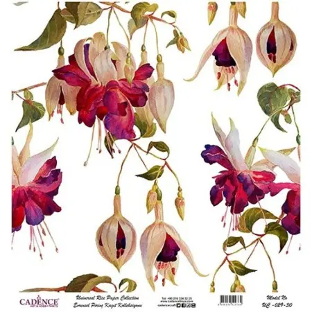 Model UC029 Universal Rice Paper Collection 30x32