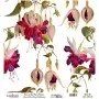 Model UC029 Universal Rice Paper Collection 30x32