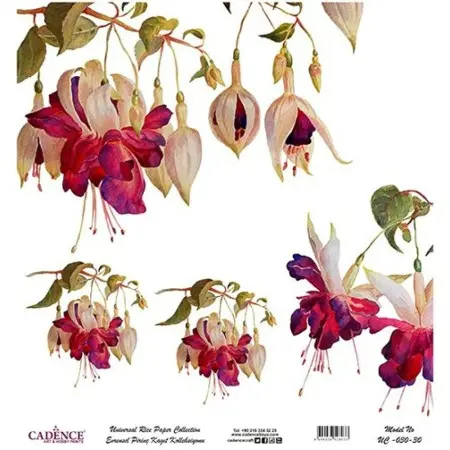 Model UC030 Universal Rice Paper Collection 90x92