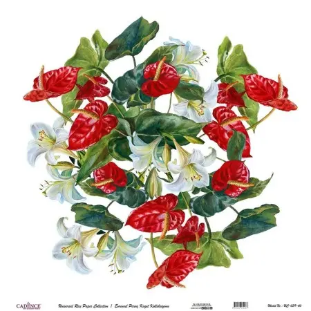 Model UC039 Universal Rice Paper Collection 30x32