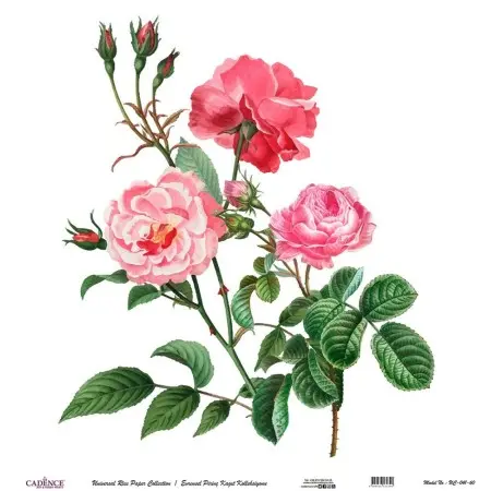 Model UC041 Universal Rice Paper Collection 30x32