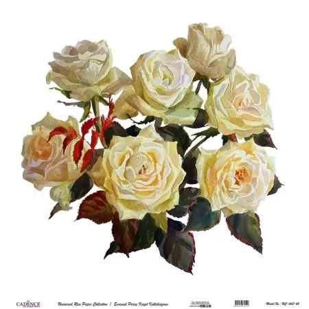 Model UC063 Universal Rice Paper Collection 30x32