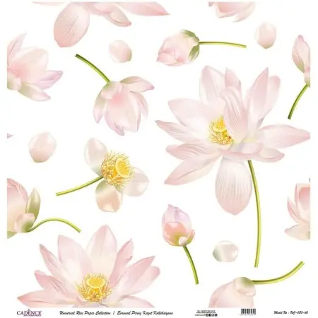 Model UC080 Universal Rice Paper Collection 30x32