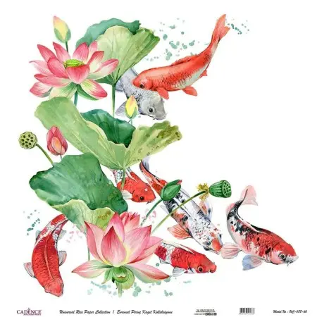 Model UC088 Universal Rice Paper Collection 60x62